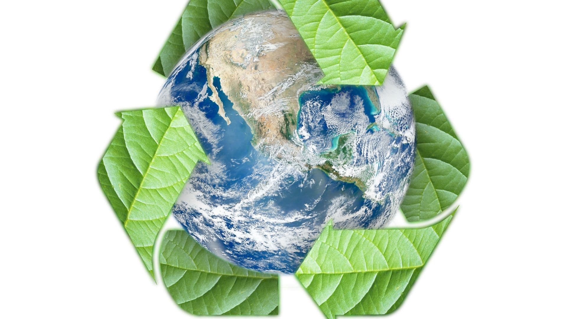 logo eco friendly